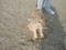 アレックス on the beach （葛西臨海公園）