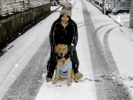雪の東京とアレックス