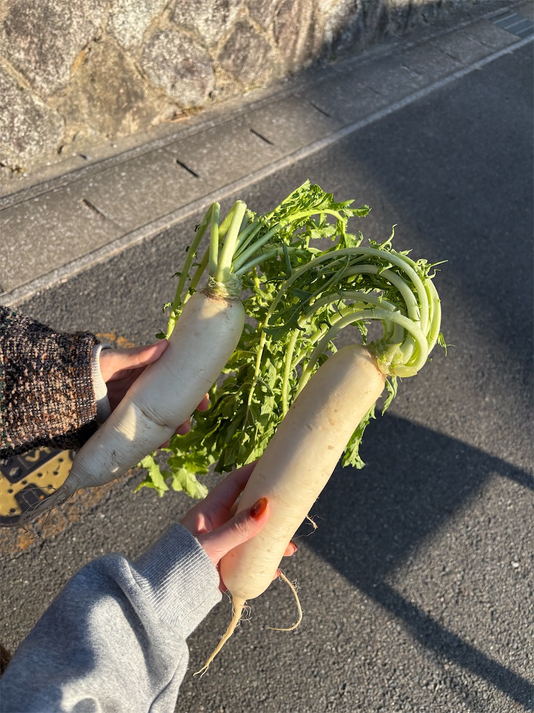 f:id:manami2898:20260201202442j:image f:id:manami2898:20260201202442j:image