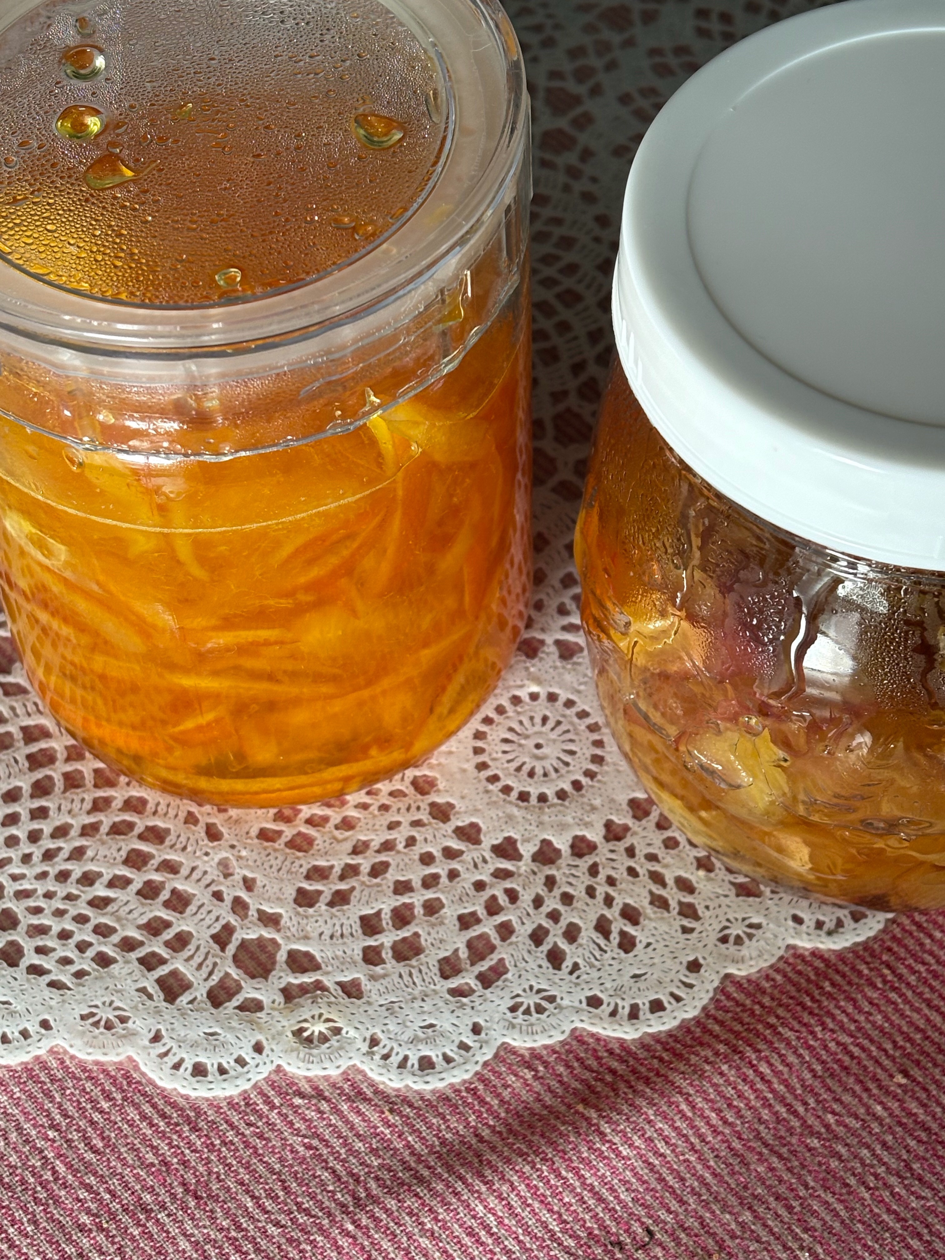 f:id:manamishibashibatan:20251116190619j:image