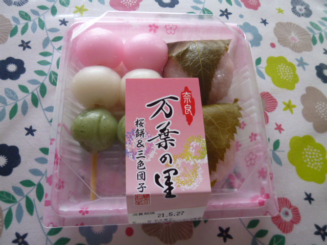 f:id:mananiko:20210528224102j:plain