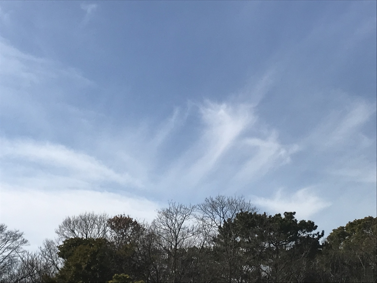 f:id:mananoizumi:20220111211547j:plain