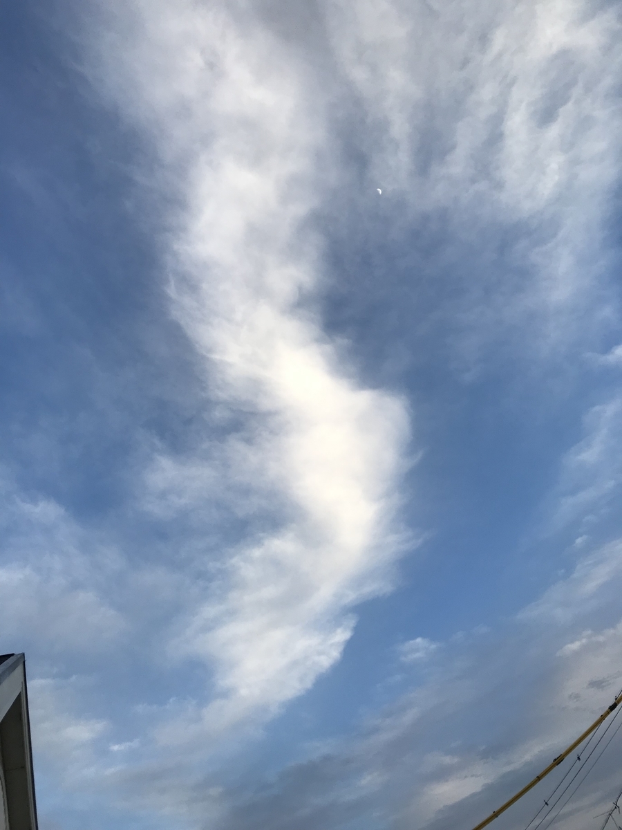 f:id:mananoizumi:20220111211635j:plain