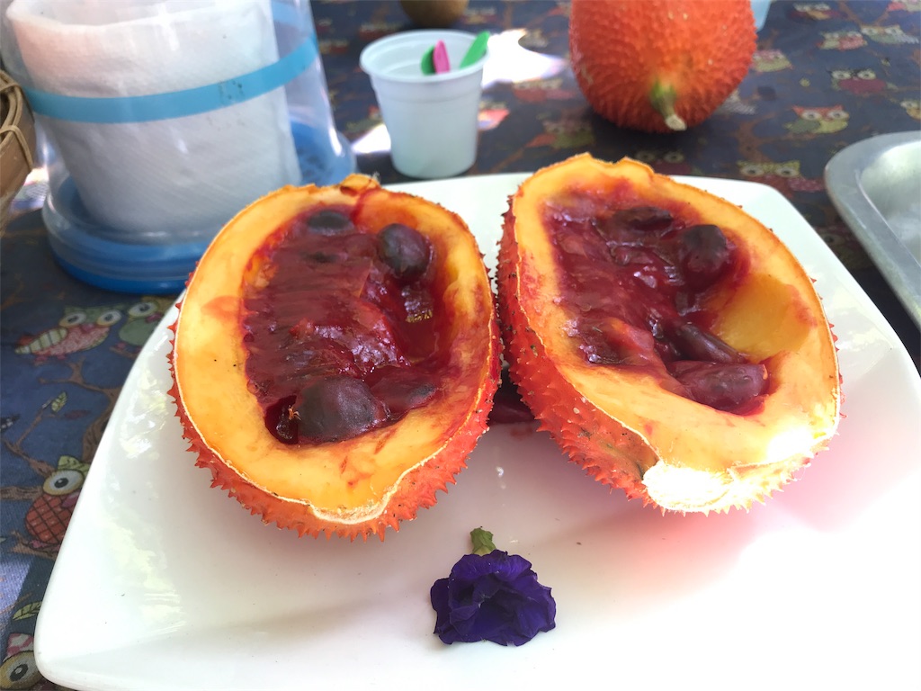 f:id:manao-life:20190201020513j:image f:id:manao-life:20190201020513j:image