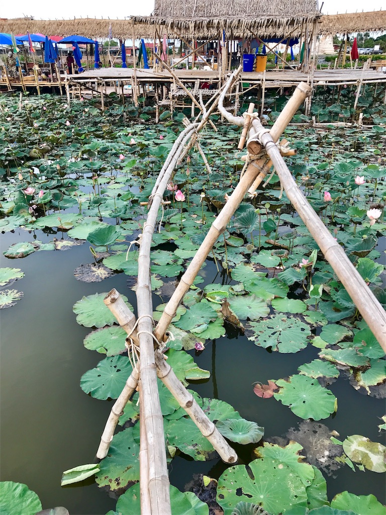 f:id:manao-life:20190610184045j:image f:id:manao-life:20190610184045j:image
