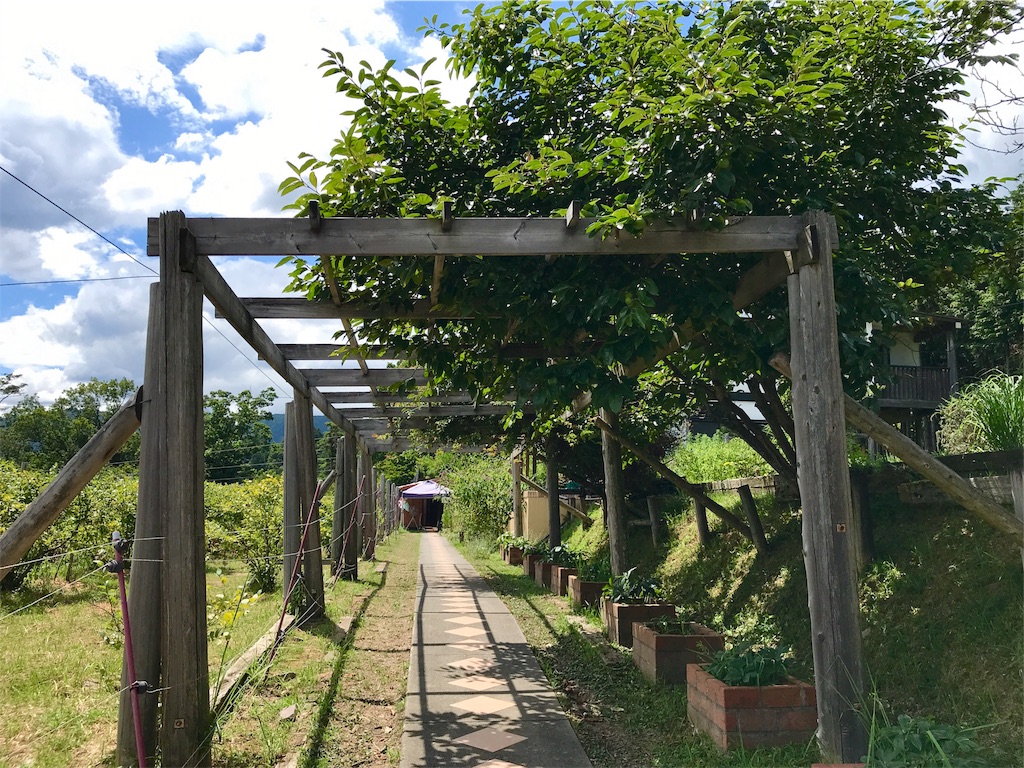 f:id:manao-life:20190824110333j:image