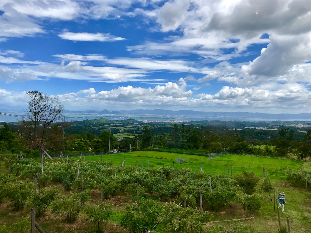 f:id:manao-life:20190824110614j:image