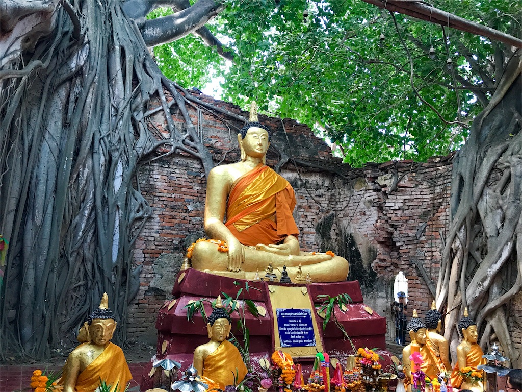 f:id:manao-life:20191018003152j:image f:id:manao-life:20191018003152j:image