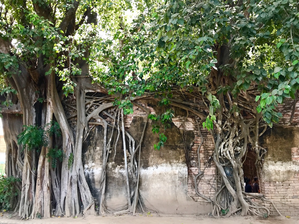 f:id:manao-life:20191018003439j:image f:id:manao-life:20191018003439j:image