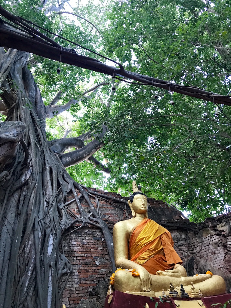 f:id:manao-life:20191018003600j:image f:id:manao-life:20191018003600j:image