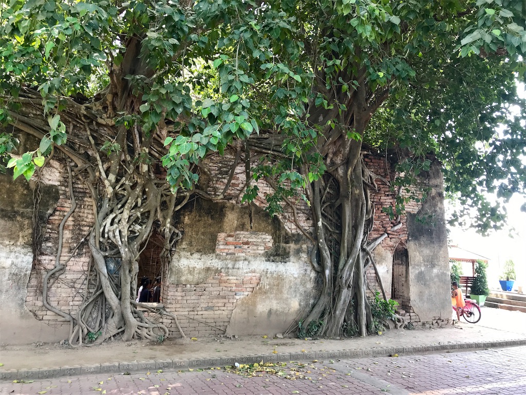 f:id:manao-life:20191018003718j:image f:id:manao-life:20191018003718j:image