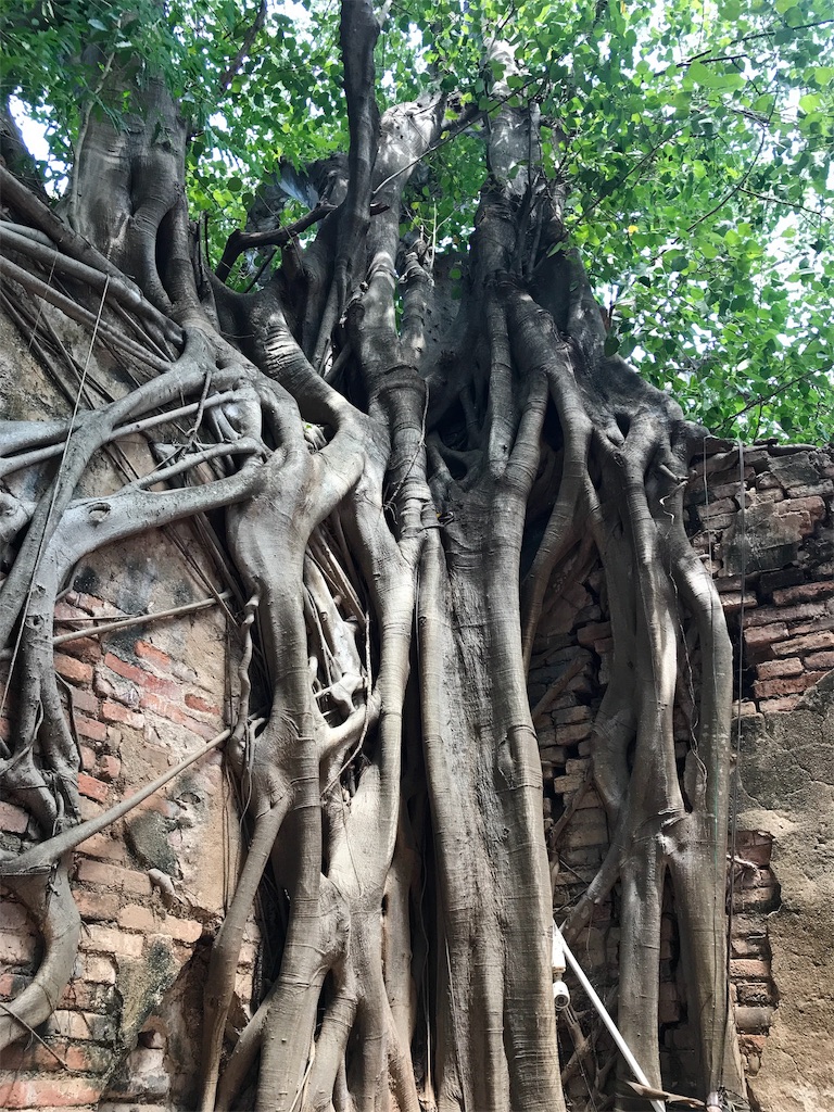 f:id:manao-life:20191018005752j:image f:id:manao-life:20191018005752j:image