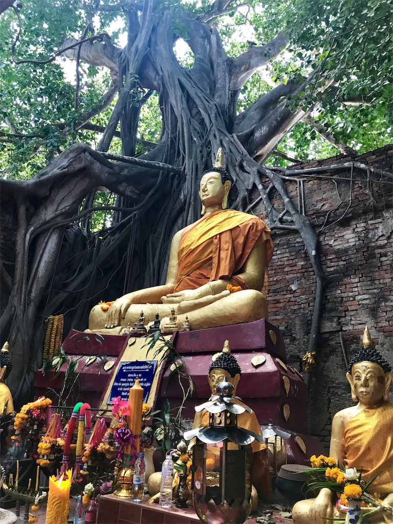 f:id:manao-life:20191018011839j:image f:id:manao-life:20191018011839j:image