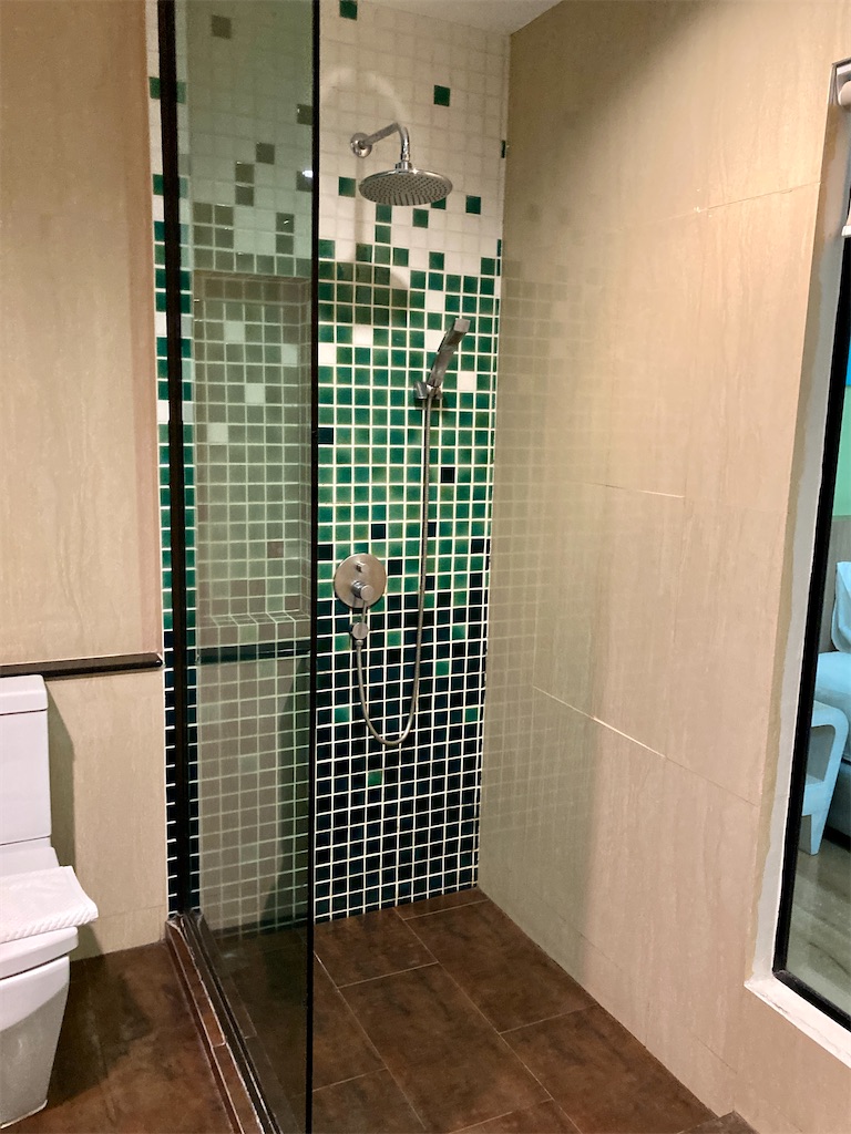 f:id:manao-life:20210203010942j:image f:id:manao-life:20210203010942j:image