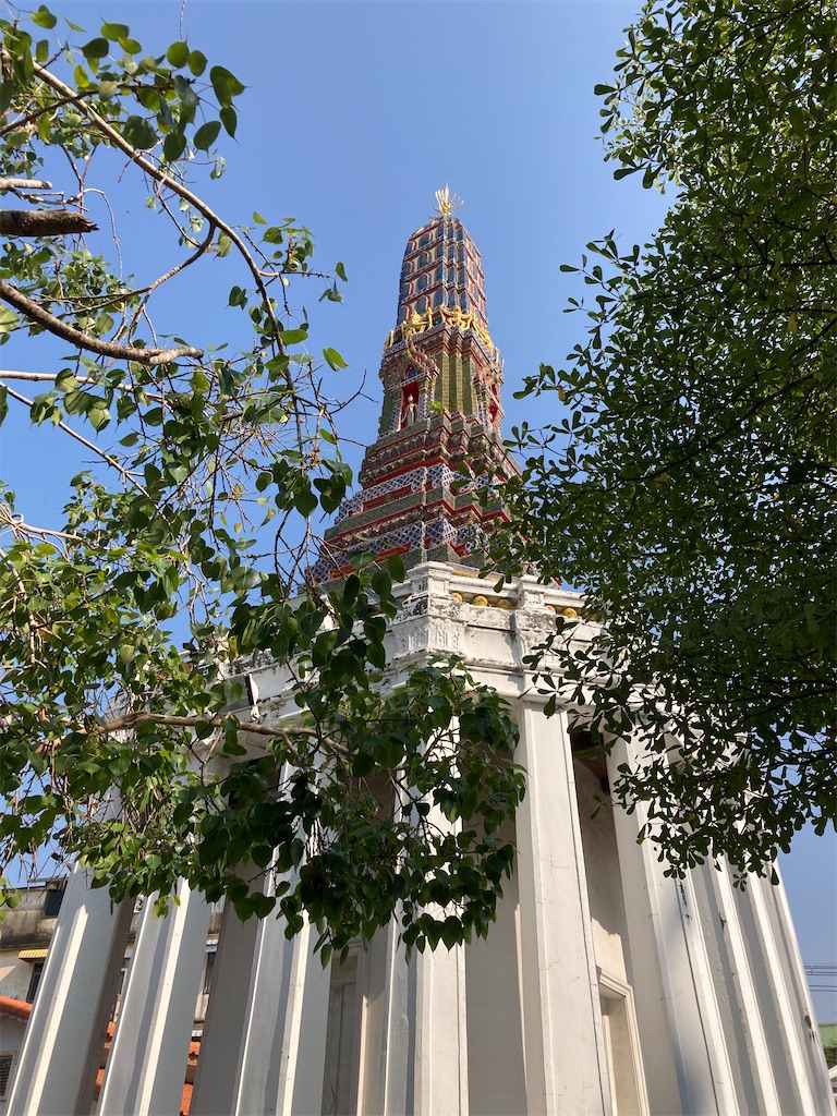 f:id:manao-life:20210228200555j:image f:id:manao-life:20210228200555j:image