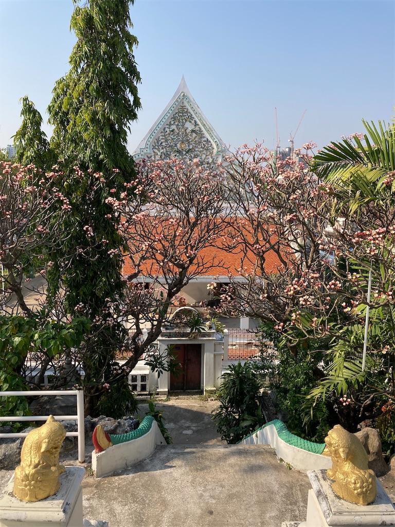 f:id:manao-life:20210228201120j:image f:id:manao-life:20210228201120j:image