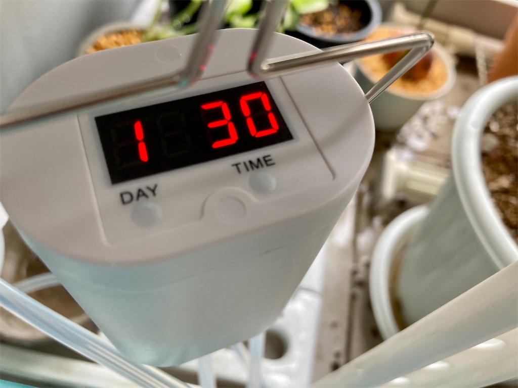 f:id:manao-life:20210404183422j:image