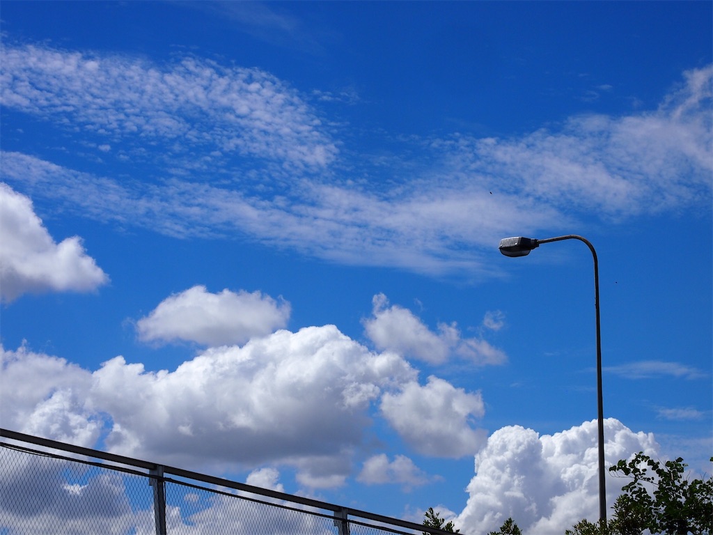 f:id:manao-life:20210628181519j:image f:id:manao-life:20210628181519j:image