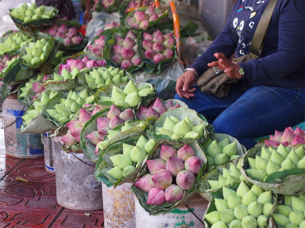 f:id:manao-life:20210628182900j:image f:id:manao-life:20210628182900j:image