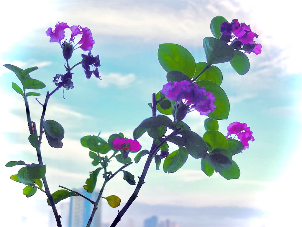 f:id:manao-life:20210918092434j:image