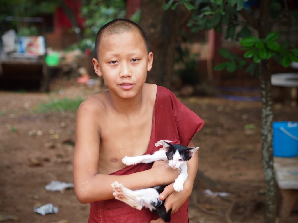 f:id:manao-life:20210923233207j:image f:id:manao-life:20210923233207j:image