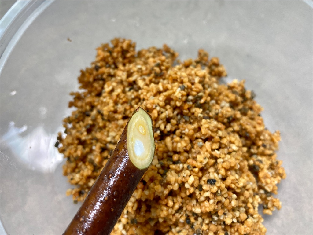 f:id:manao-life:20210926100847j:image f:id:manao-life:20210926100847j:image