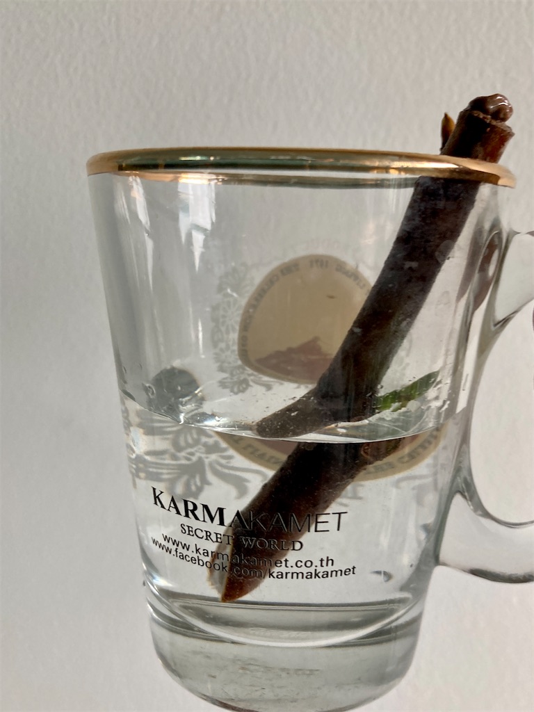 f:id:manao-life:20210926101712j:image f:id:manao-life:20210926101712j:image