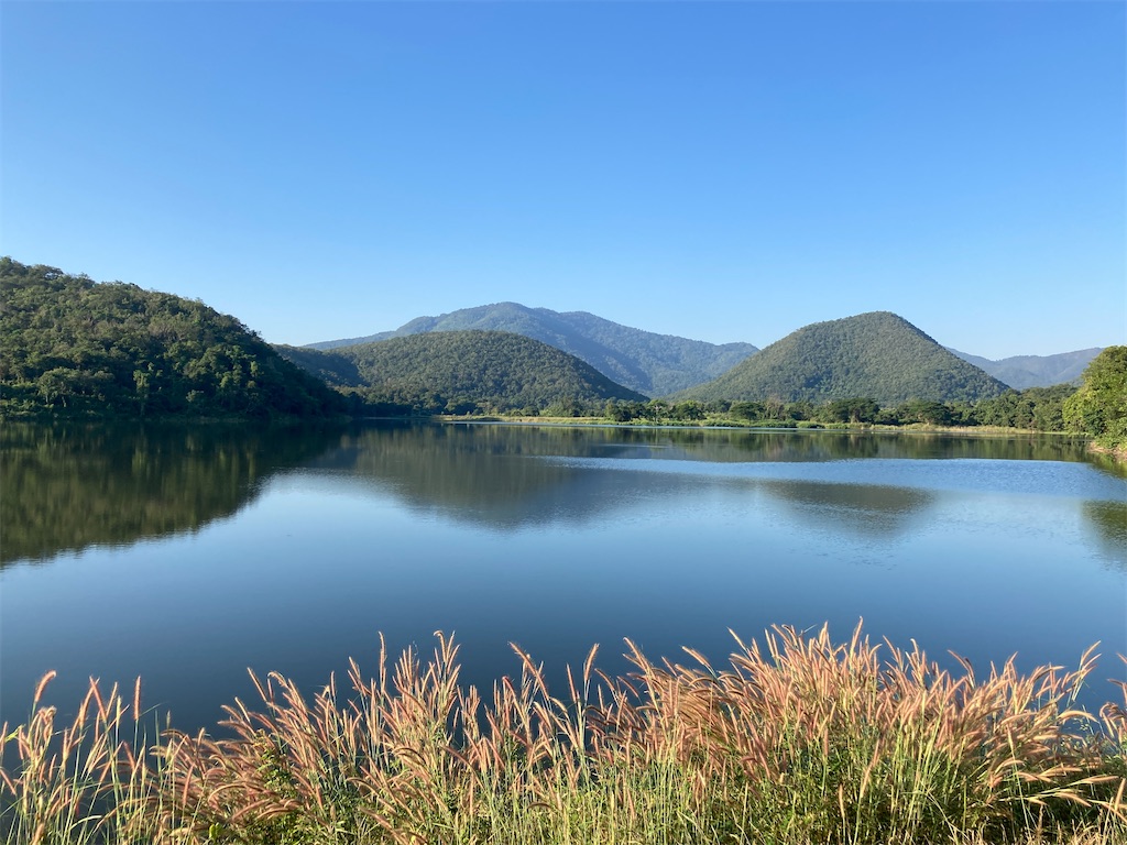 f:id:manao-life:20211130194610j:image