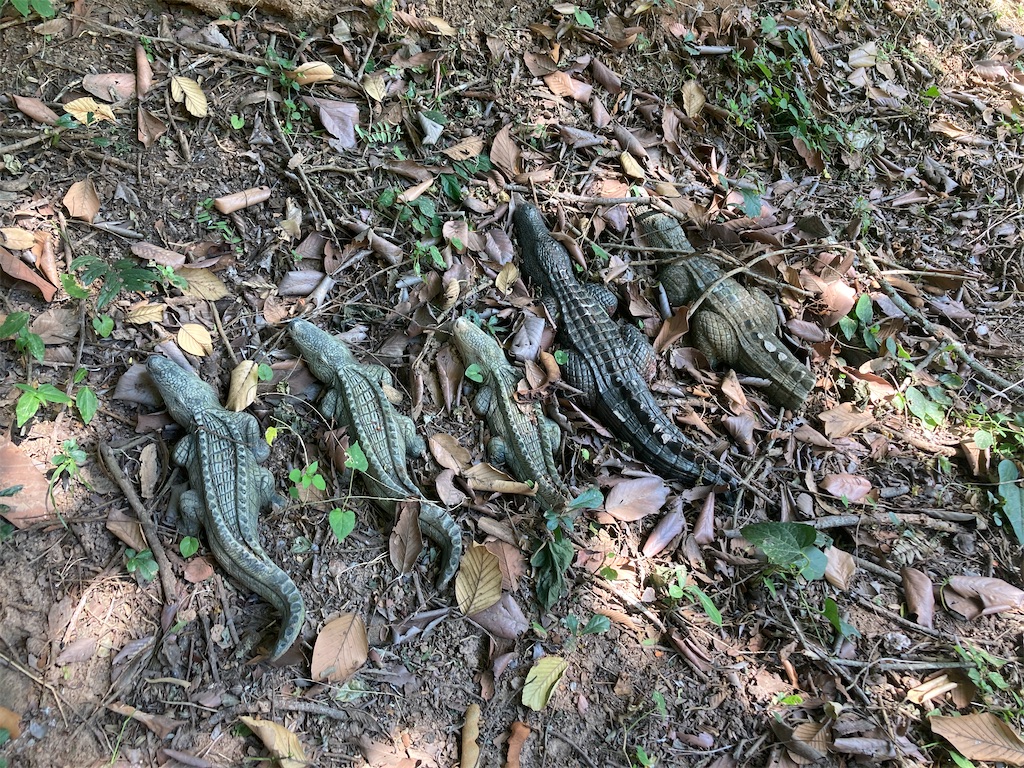 f:id:manao-life:20211204202355j:image