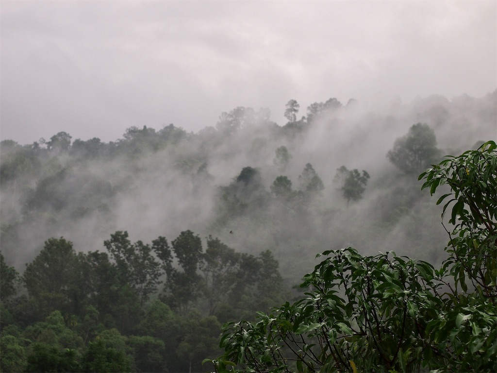 f:id:manao-life:20220122161022j:image