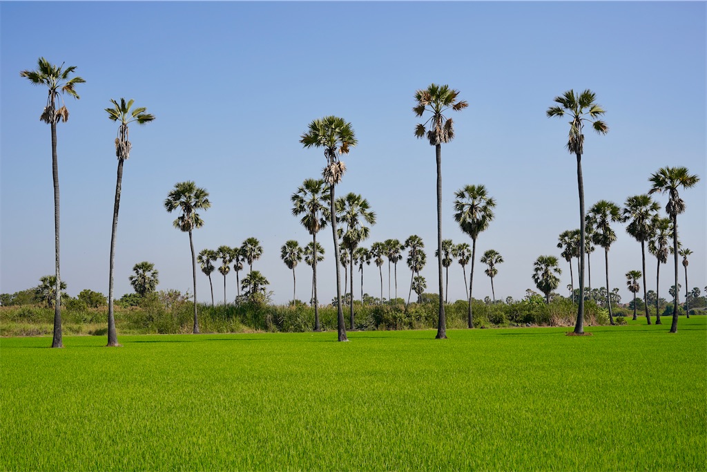 f:id:manao-life:20220420180457j:image