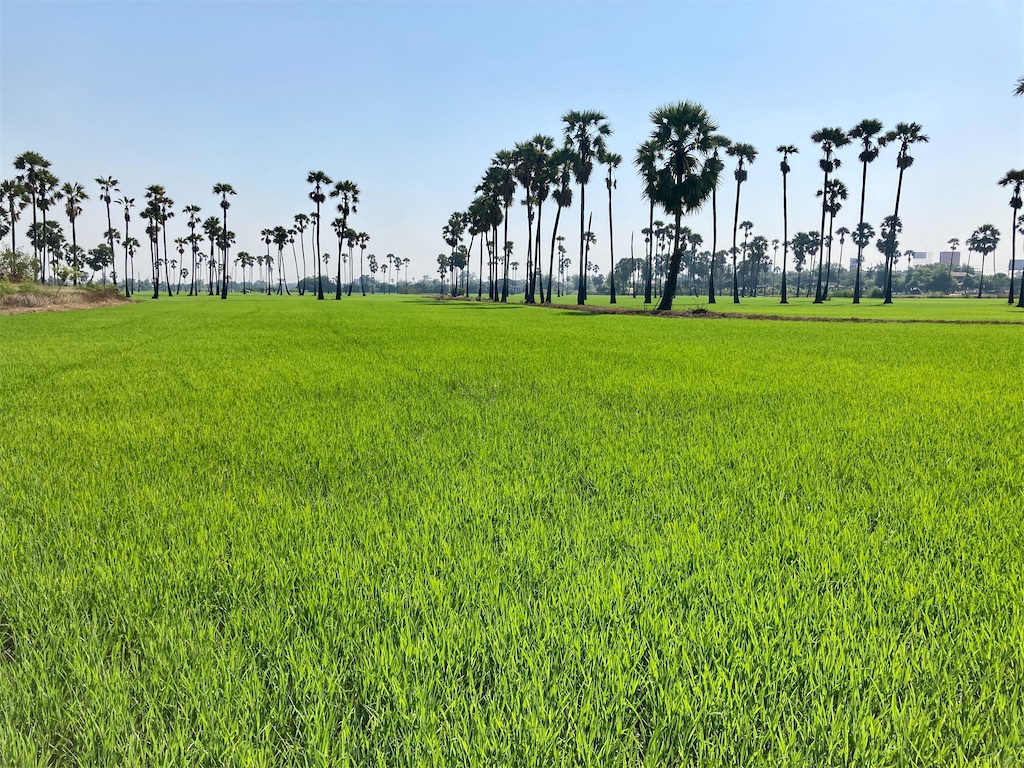 f:id:manao-life:20220420180559j:image