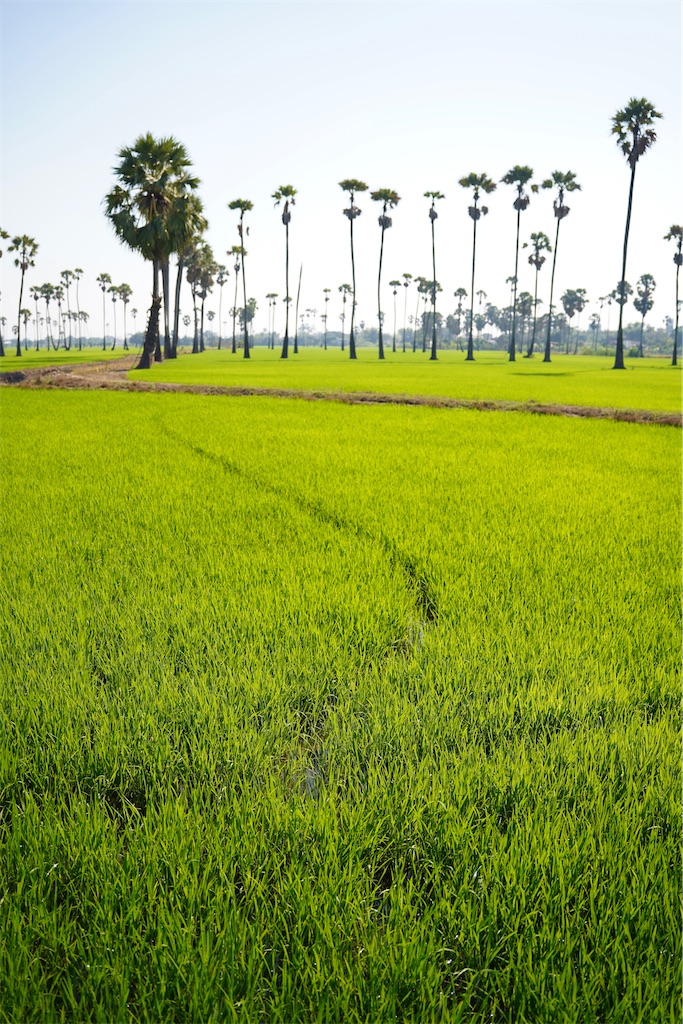 f:id:manao-life:20220420180602j:image