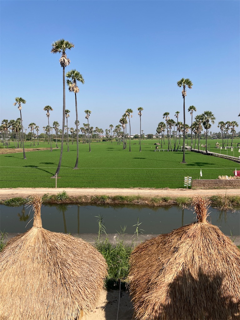 f:id:manao-life:20220420180908j:image