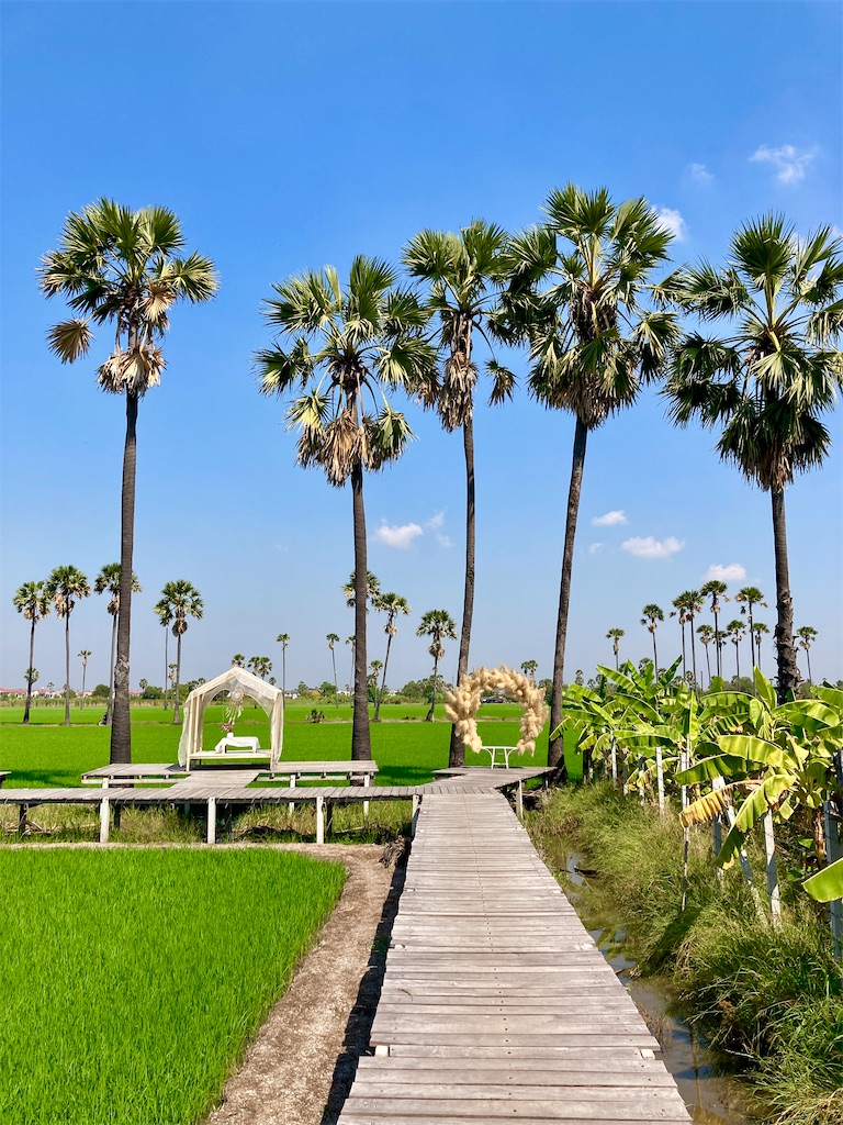 f:id:manao-life:20220420181142j:image