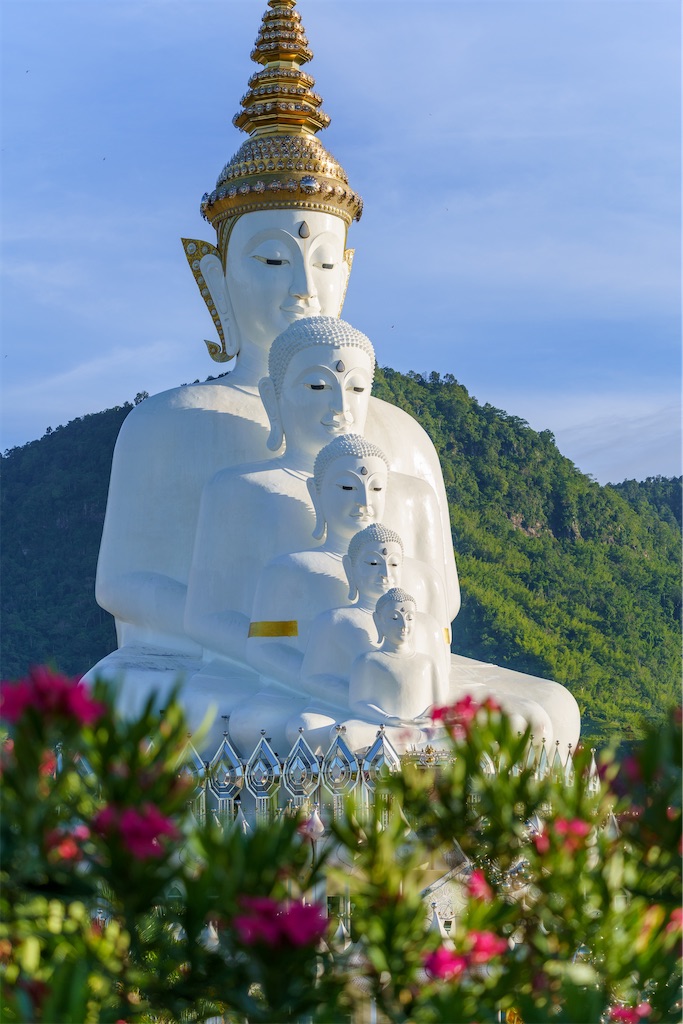 f:id:manao-life:20220810133516j:image