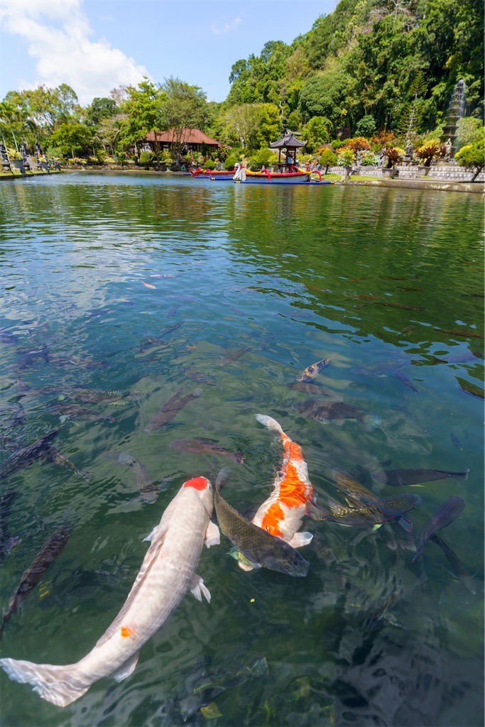 湧き水の庭園「ティルタガンガ」【バリ島・インドネシア】 - siam