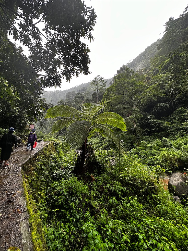 f:id:manao-life:20230311143316j:image f:id:manao-life:20230311143316j:image