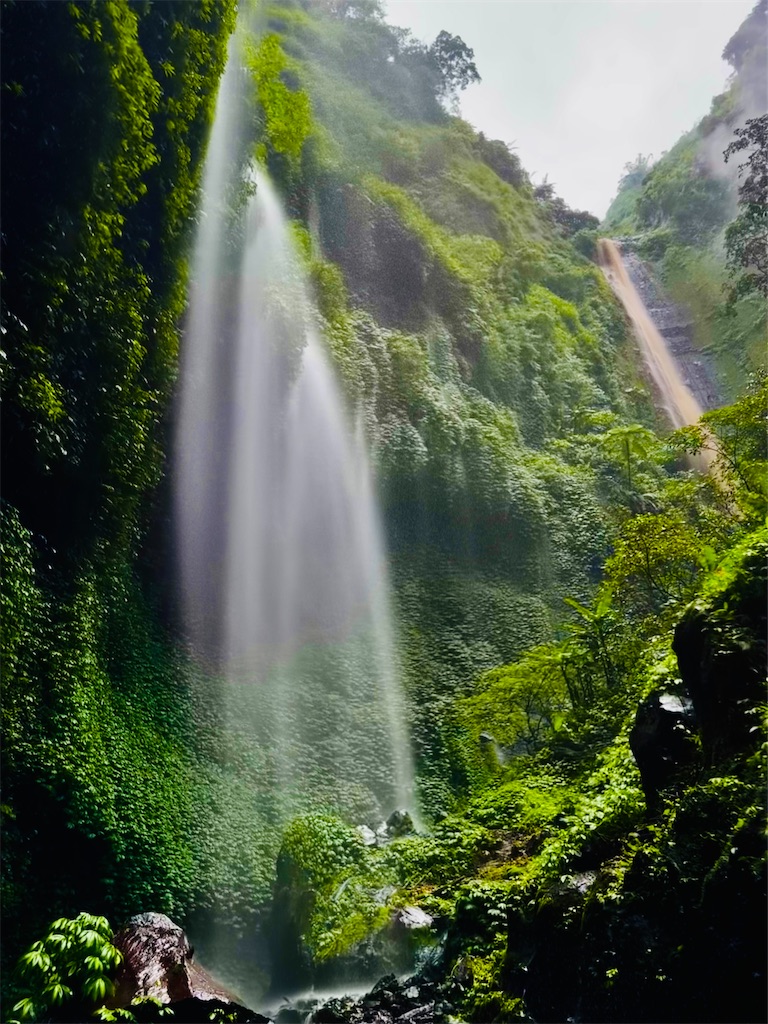 f:id:manao-life:20230311143713j:image f:id:manao-life:20230311143713j:image