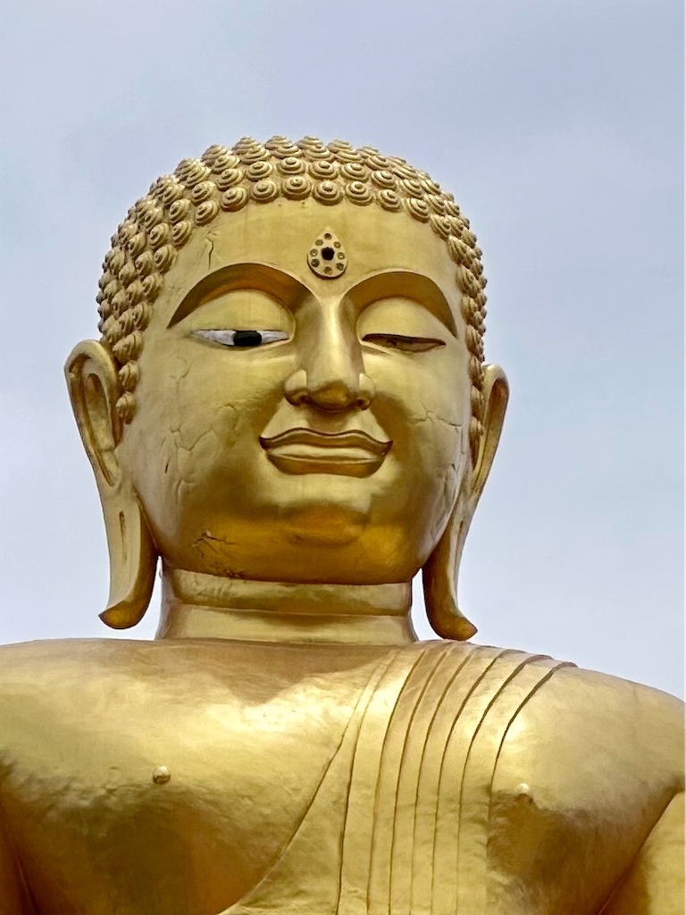 f:id:manao-life:20230822235025j:image