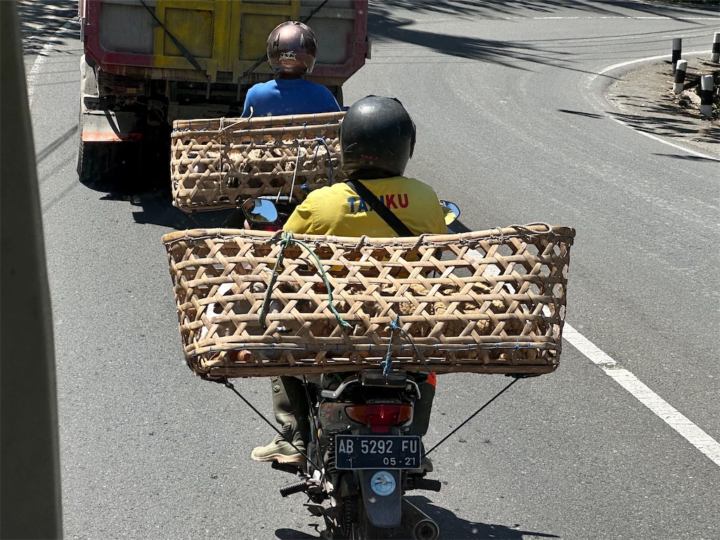 f:id:manao-life:20230916123631j:image