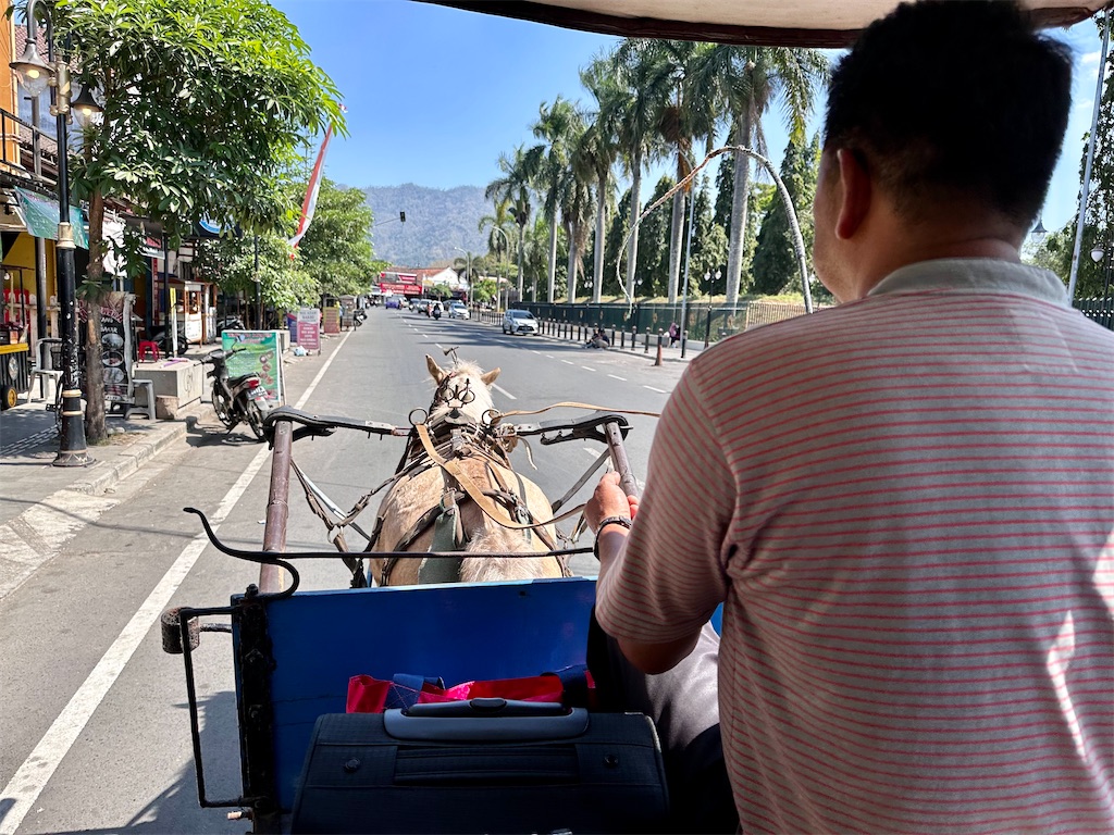 f:id:manao-life:20230916123723j:image