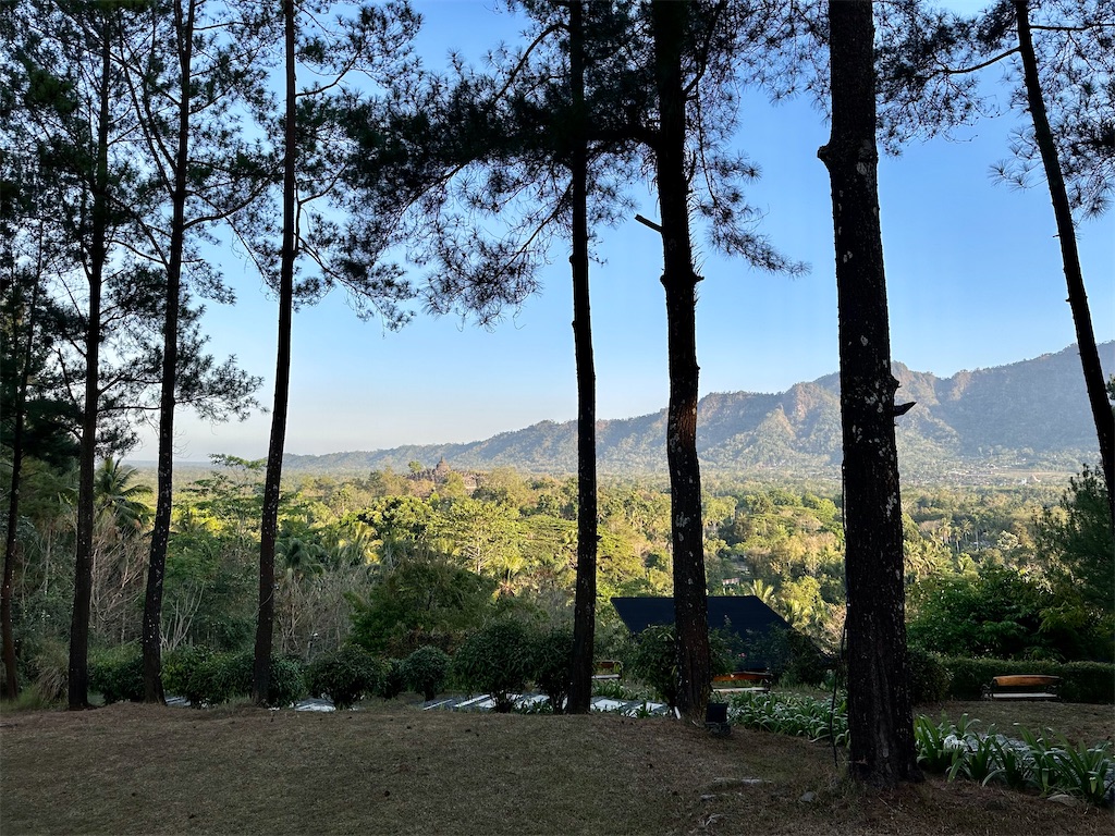 f:id:manao-life:20230916172631j:image