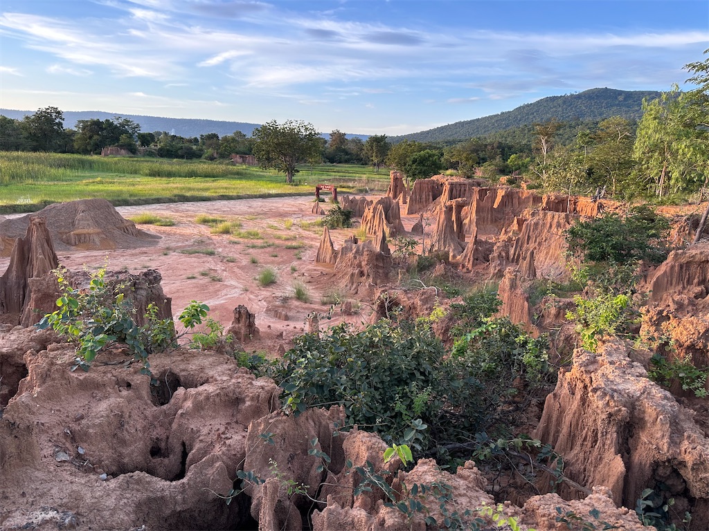 f:id:manao-life:20231019233132j:image