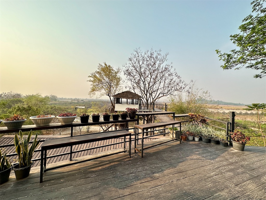 f:id:manao-life:20240313192621j:image f:id:manao-life:20240313192621j:image