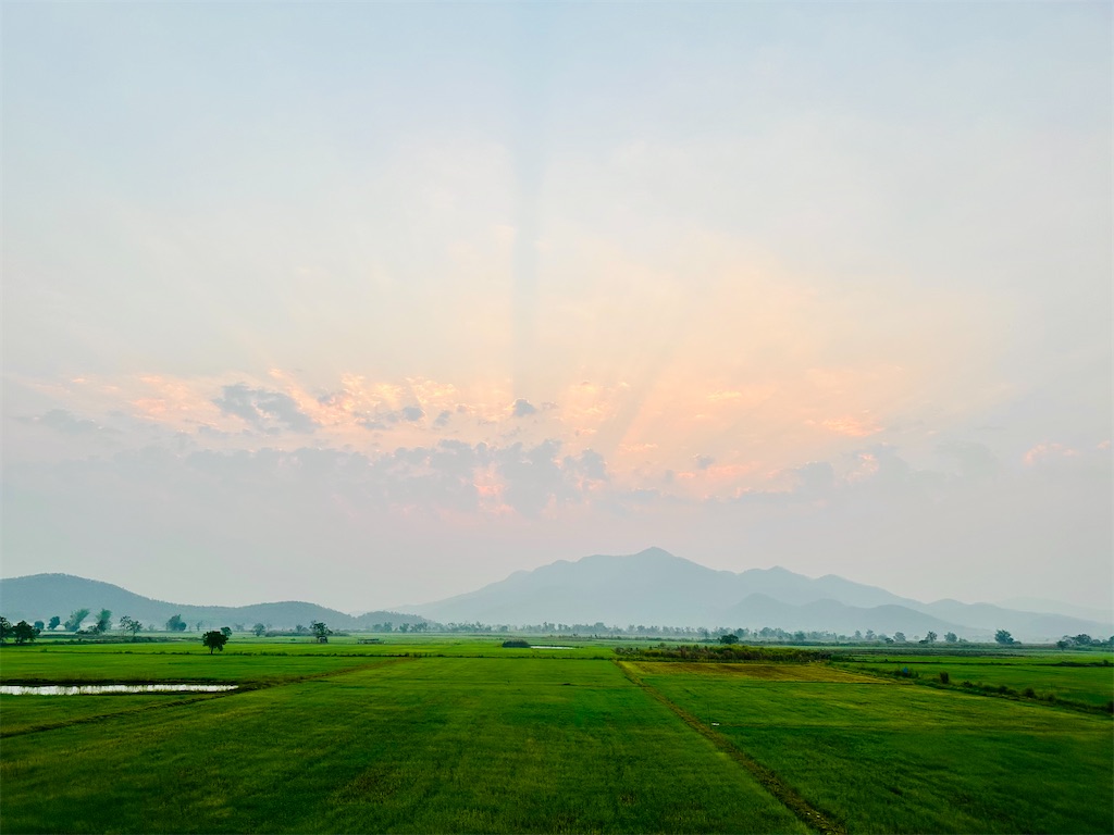 f:id:manao-life:20240313195656j:image f:id:manao-life:20240313195656j:image