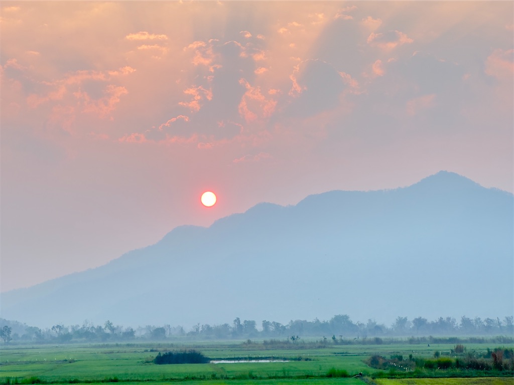 f:id:manao-life:20240313195701j:image f:id:manao-life:20240313195701j:image