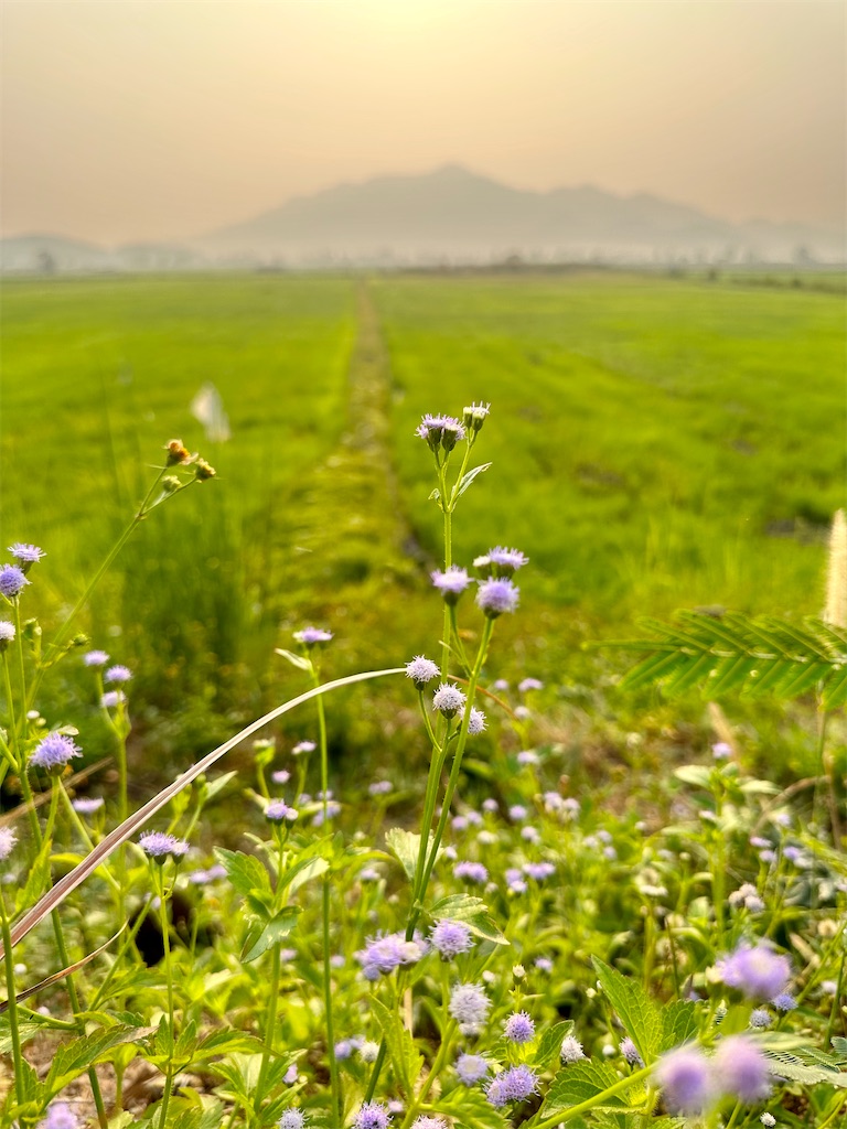 f:id:manao-life:20240313202816j:image f:id:manao-life:20240313202816j:image