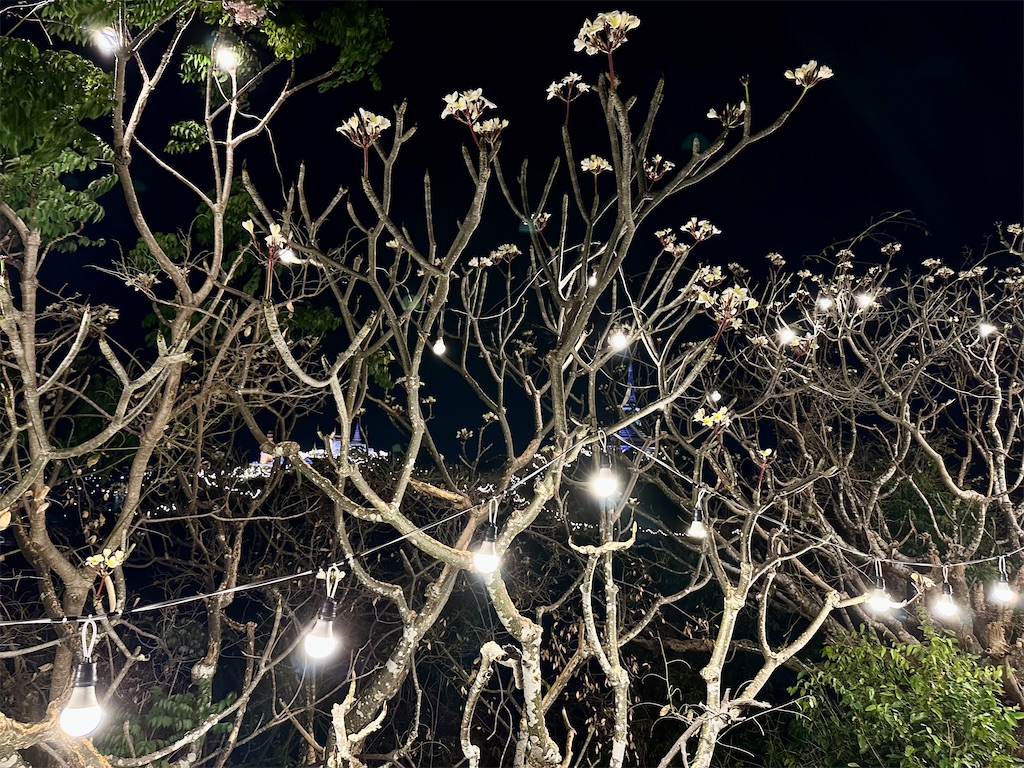 f:id:manao-life:20240326094830j:image f:id:manao-life:20240326094830j:image