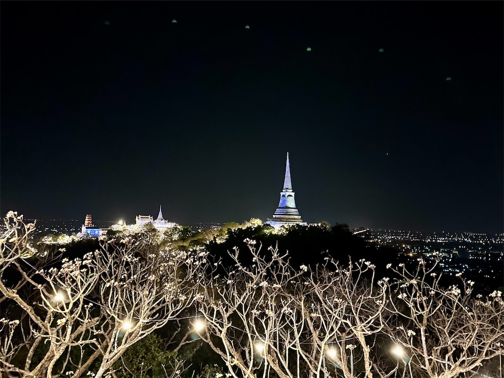 f:id:manao-life:20240326094902j:image f:id:manao-life:20240326094902j:image